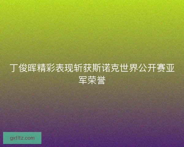 丁俊晖精彩表现斩获斯诺克世界公开赛亚军荣誉
