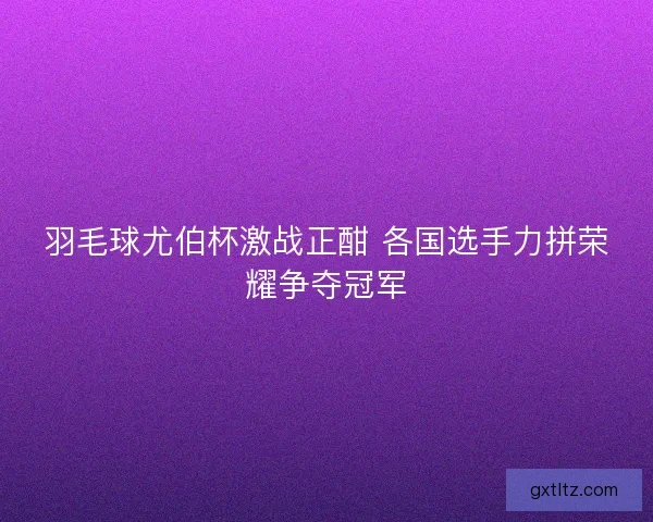羽毛球尤伯杯激战正酣 各国选手力拼荣耀争夺冠军